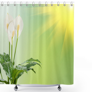 Personality  White Flowers On The Green Background Shower Curtains