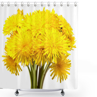 Personality  Bouquet Of Yellow Dandelions Shower Curtains