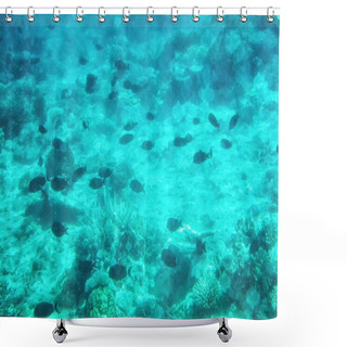 Personality  Coral Reef, Coral Coast, Viti Levu, Fiji, South Pacific. Shower Curtains