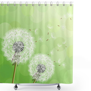 Personality  Green Background With Two Flowers Dandelions Shower Curtains