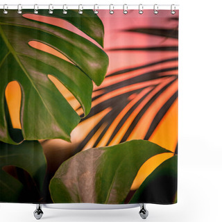 Personality  Tropical Plants Background.  Shower Curtains