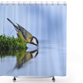 Personality  Parus Major. Shower Curtains