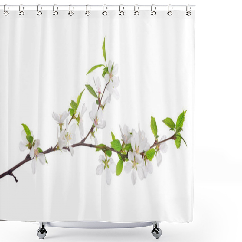 Personality  cherry tree blossoming branch shower curtains