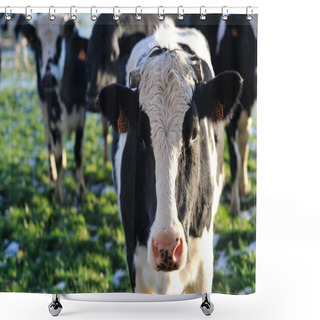 Personality  Cow Shower Curtains