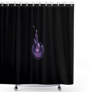 Personality  Purple Dangerous Translucent Jellyfish Floating In Dark Ocean Water Shower Curtains