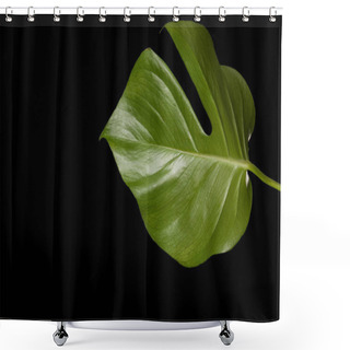 Personality  Close-up View Of Beautiful Green Monstera Leaf Isolated On Black Background   Shower Curtains