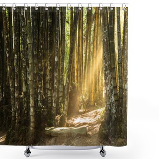 Personality  Giant Bamboo Forest Shower Curtains