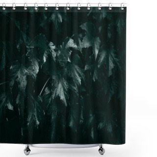 Personality  Ivy Leaves, Autumn Background Concept Shower Curtains
