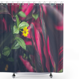 Personality  Deep In The Asian Rainforest. Tropical Nature. Shower Curtains