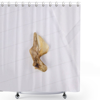 Personality  Surgically Removed Sick Rotten Pmolar Cat Tooth Shower Curtains