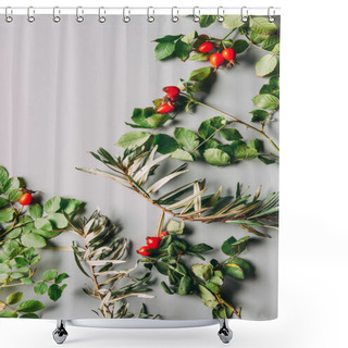Personality  Top View Of Arrangement With Common Sea Buckthorn And Briar Autumn Herbs On Grey Backdrop Shower Curtains