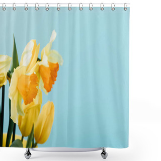 Personality  Close Up View Of Beautiful Tulips And Daffodils Isolated On Blue Shower Curtains