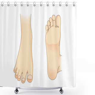 Personality  Foot Vector In Side View And Bottom Of Foot  Shower Curtains