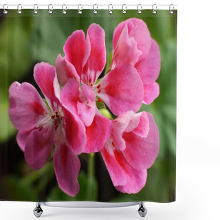 Personality  Pink Geranium Shower Curtains