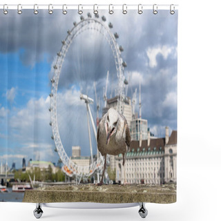 Personality  Seagull At The Thames River In London Shower Curtains