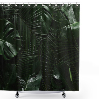 Personality  Top View Of Beautiful Green Wet Leaves, Tropical Background Shower Curtains