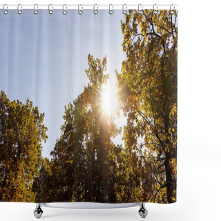 Personality  Sun, Trees With Yellow And Green Leaves In Autumnal Park At Day  Shower Curtains