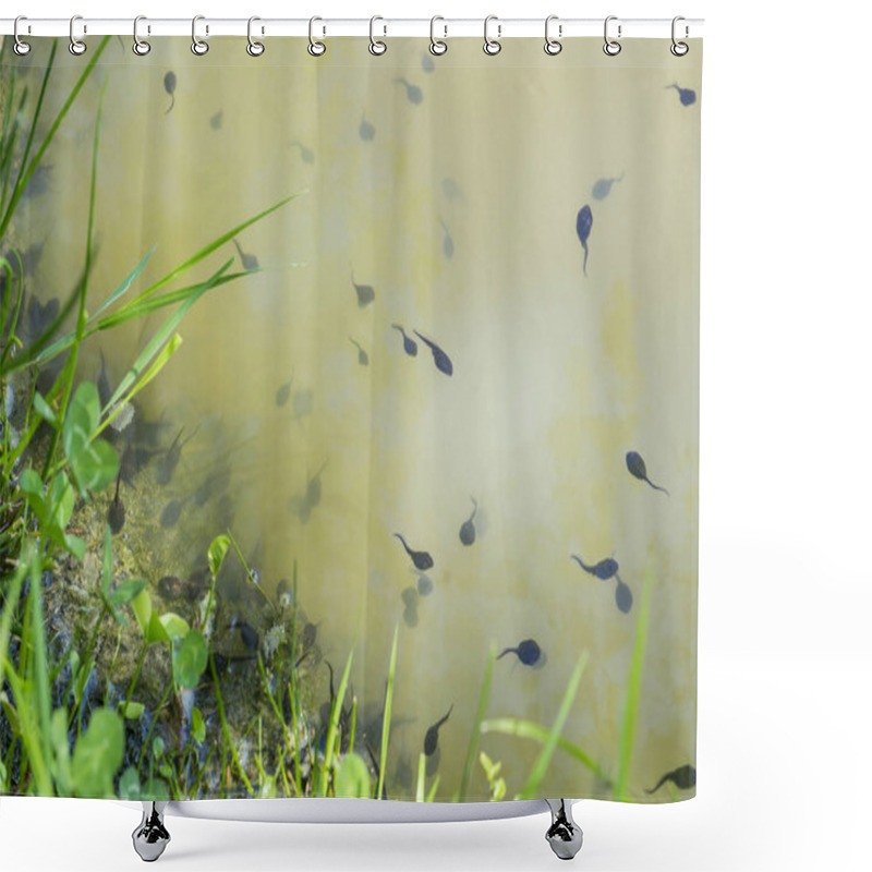 Personality  Lots Of Tadpoles Shower Curtains