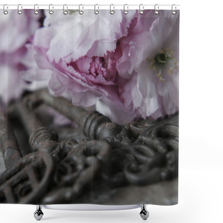 Personality  Flowers Near Old Keys Shower Curtains