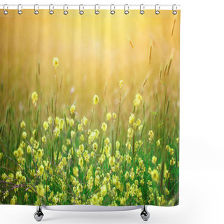 Personality  Beautiful Yellow Wildflowers In The Green Grass. Shower Curtains