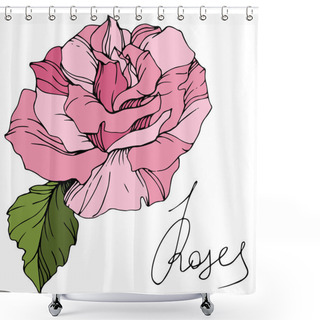 Personality  Beautiful Pink Rose Flower Isolated On White. Rose Illustration Element. Engraved Ink Art. Shower Curtains