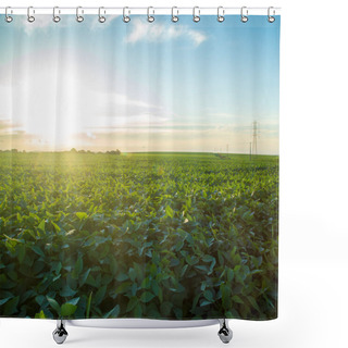 Personality  Soy Plantation Field Sunset Shower Curtains