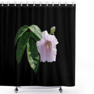 Personality  Pink Rose Mallow Flower Shower Curtains