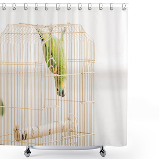 Personality  Funny Green Amazon Parrot Hanging Head Down In Bird Cage Shower Curtains