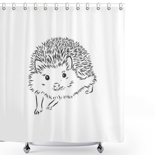 Personality  Hedgehog Sketch Drawing Isolated On White Background Shower Curtains