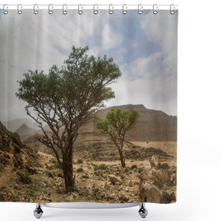Personality  Frankincense Tree In Salalah, Oman Shower Curtains
