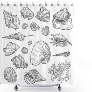 Personality  Corals And Seashells Isolated Sketches Shower Curtains