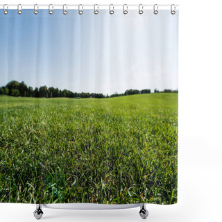 Personality  Selective Focus Of Green Grass Near Trees Against Sky In Park  Shower Curtains
