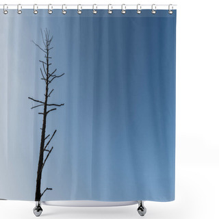Personality  Low Angle View Of Branches On Dark Tree Against Blue Sky  Shower Curtains