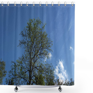 Personality  Low Angle View Of Trees And Blue Sky With Clouds At Background Shower Curtains