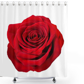 Personality  Red Rose Flower Head On White Background Shower Curtains