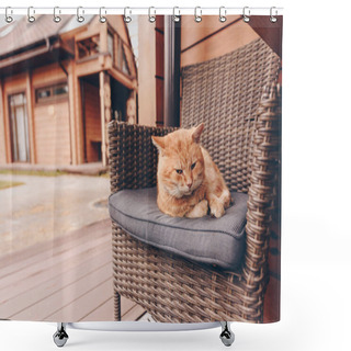 Personality  Sleepy Cat Lying On Chair Shower Curtains