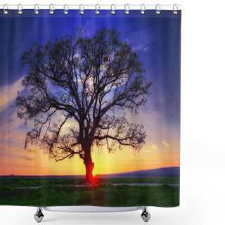 Personality  Big Tree Silhouette, Sunset Shot Shower Curtains