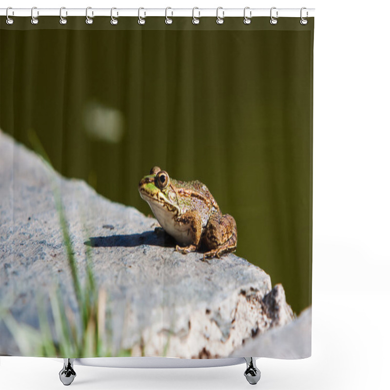 Personality  Green Frog Shower Curtains