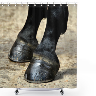 Personality  Horse Hoof - Hooves Shower Curtains