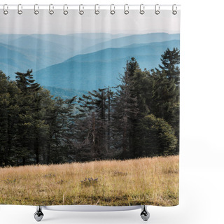 Personality  Scenic And Blue Silhouette Of Mountains Near Pine Trees  Shower Curtains