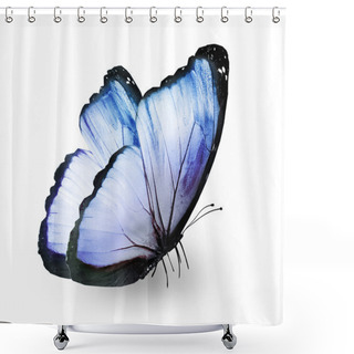 Personality  Blue Butterfly , Isolated On White Shower Curtains