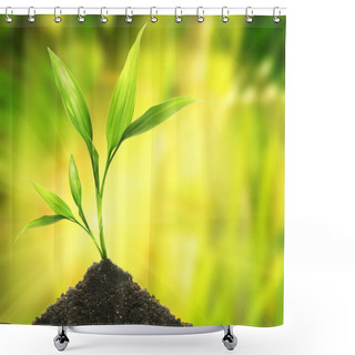 Personality  Young Plant Over Abstract Green Background Shower Curtains
