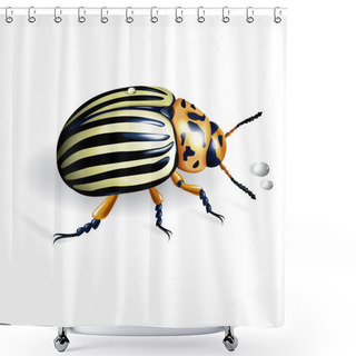 Personality  The Colorado Potato Beetle Shower Curtains