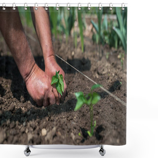 Personality  Close Up Of Gardener's Hands Planting A Pepper Seedling In The Vegetable Garden - Selective Focus Shower Curtains