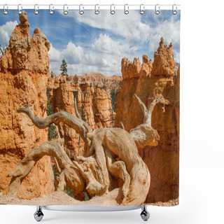 Personality  Bryce Canyon National Park Shower Curtains