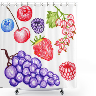 Personality  Food Vector Berries Shower Curtains