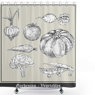 Personality  Gardening. Vintage Banner With Vegetables And Fruits. Onion, Tomato, Beet, Carrot, Squash, Broccoli, Cauliflower, Peas. Vector Illustration Shower Curtains