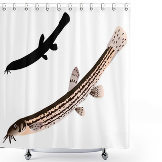 Personality  Vectors Loach Shower Curtains