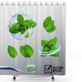Personality  3D Realistic Vector Set, Transparent Splash Of Water With A Mint Sprout, Various Options For Mint Leaves, A Fresh Whirlwind, A Toothbrush With A Paste Shower Curtains