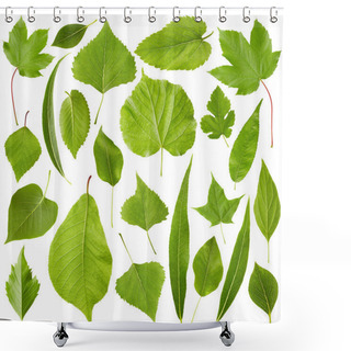 Personality  Green Leaves Isolated On White Shower Curtains